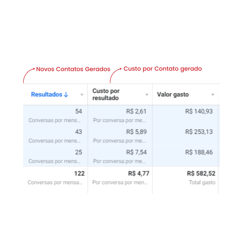 resultados sanches midias marketing digital (2)