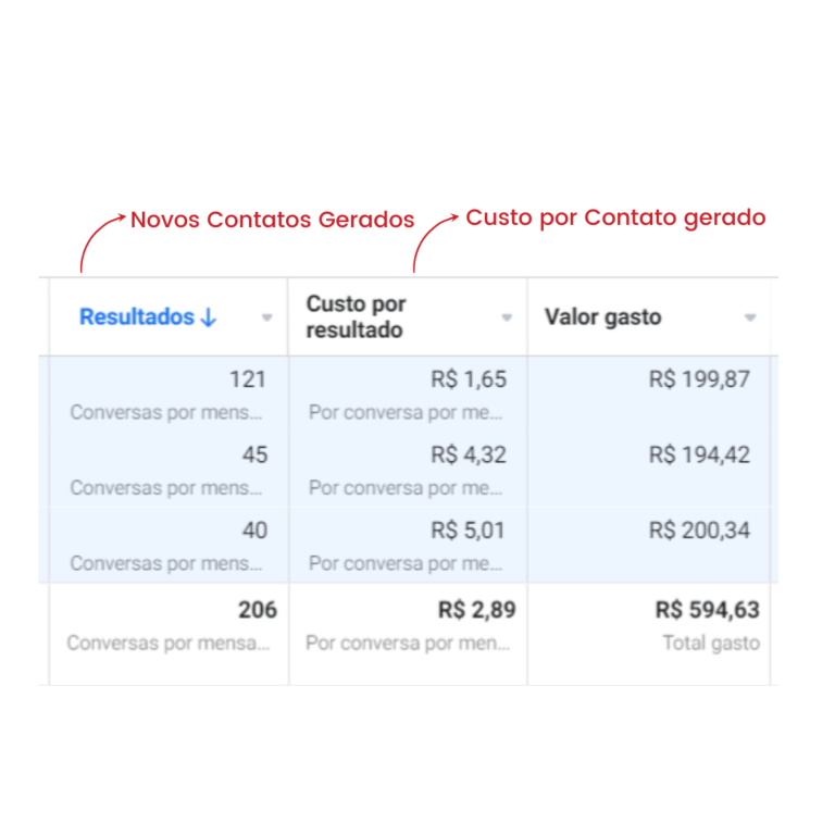 resultados sanches midias marketing digital (6)